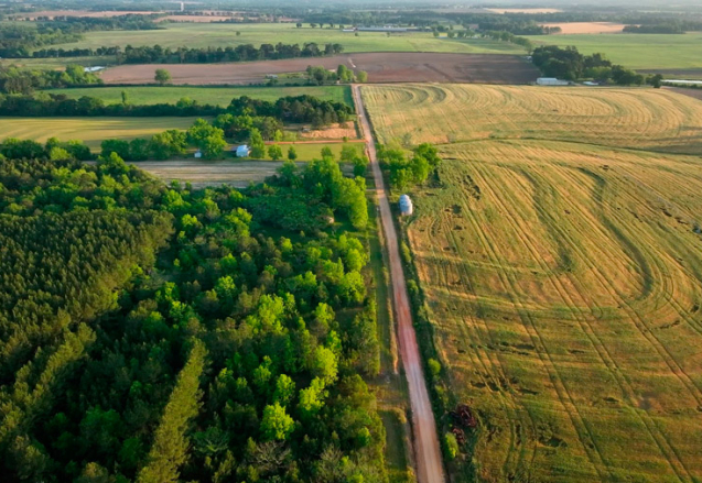 alabama-ranch-land-for-sale